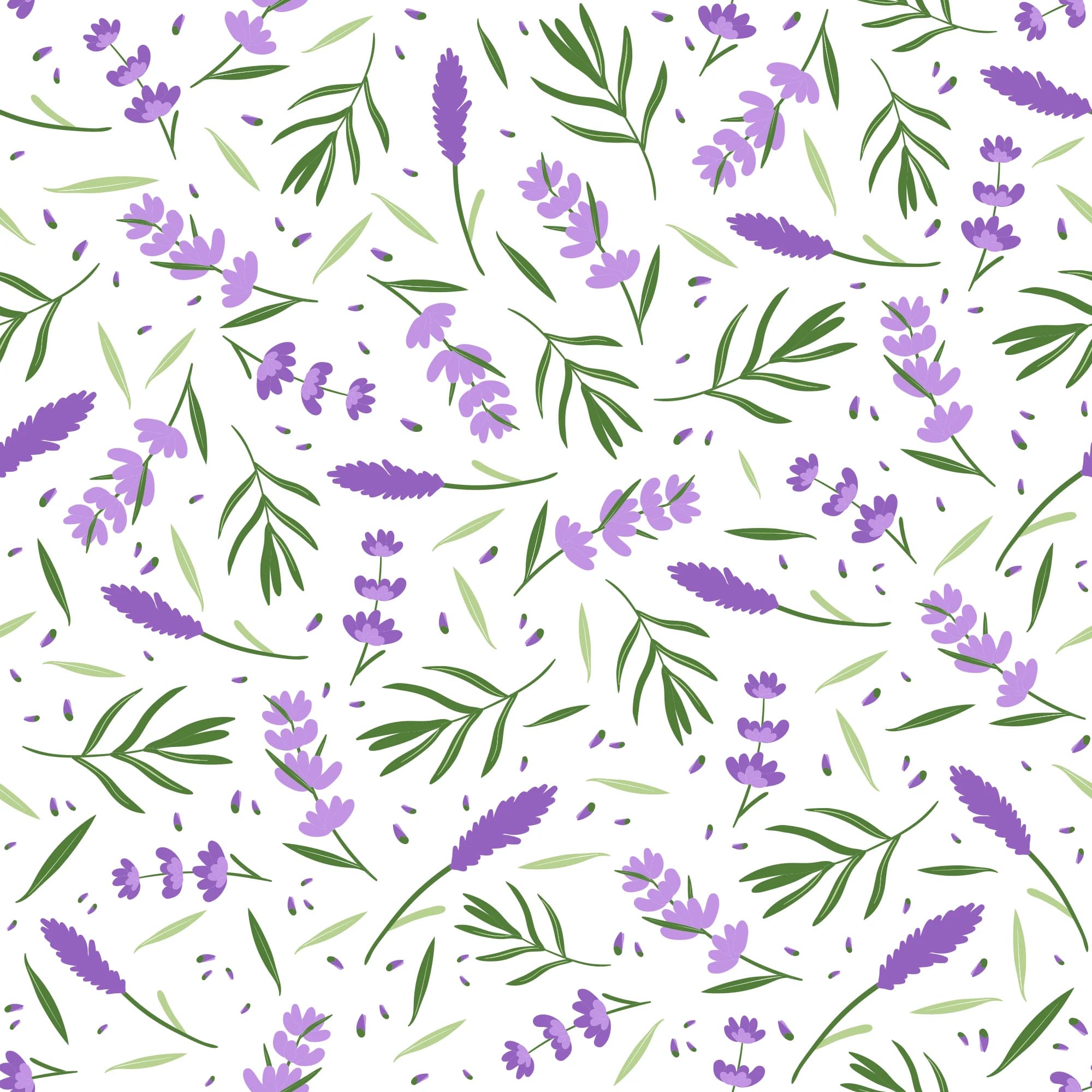 Ilustración de flores de lavandas